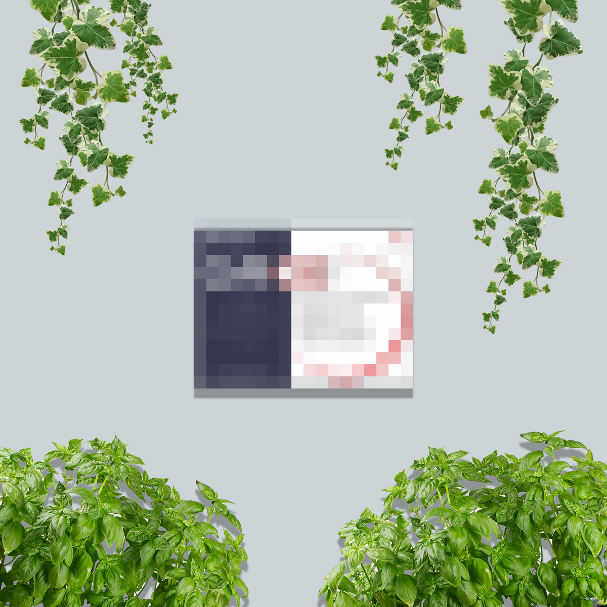 Find your perfect supplements